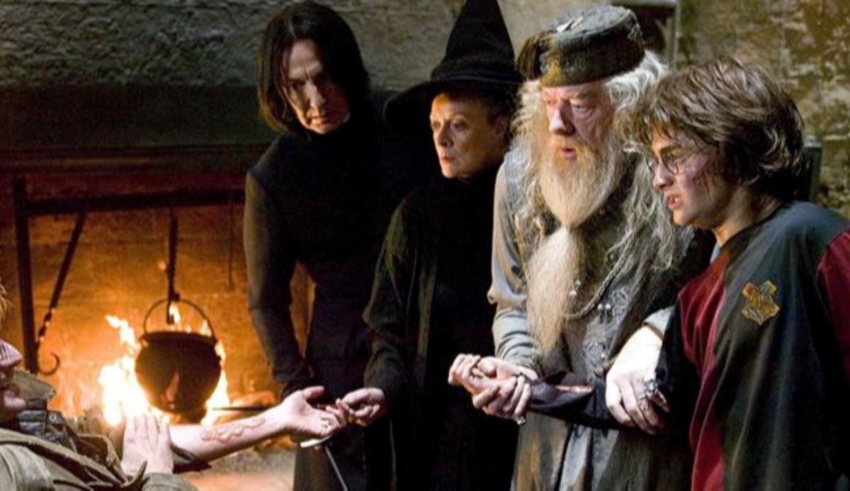 Pottermore Wand Quiz. 100 Accurate Harry Potter Wand Test Question 14