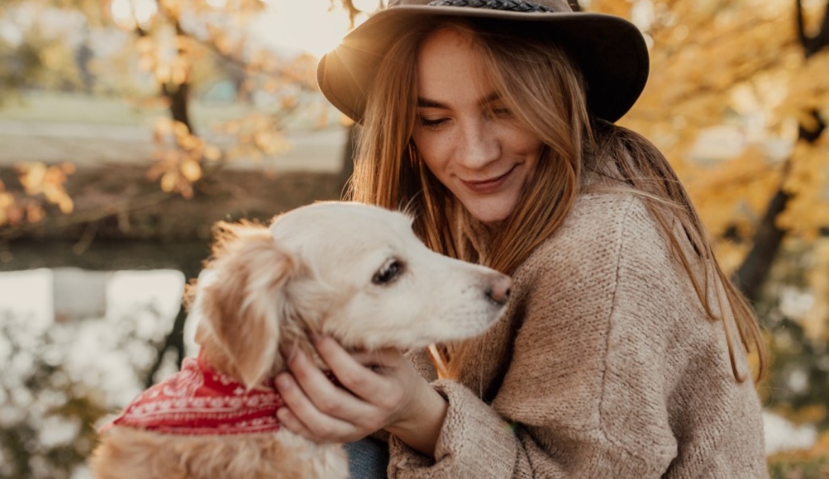 What Dog Should I Get Quiz. Suggestion Based on 20 Factors Question 20