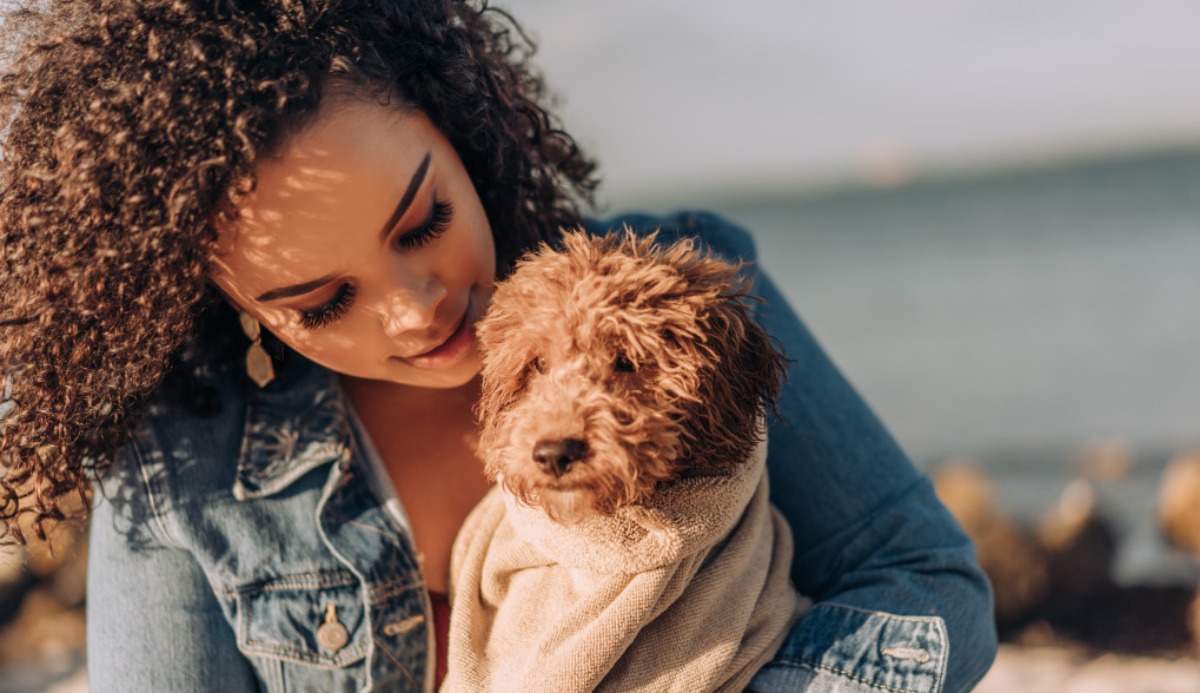 What Dog Should I Get Quiz. Suggestion Based on 20 Factors Question 8