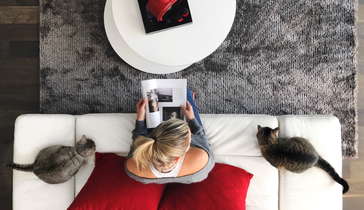 Does My Cat Love Me? Find Out with This 100 Accurate Quiz Question 16