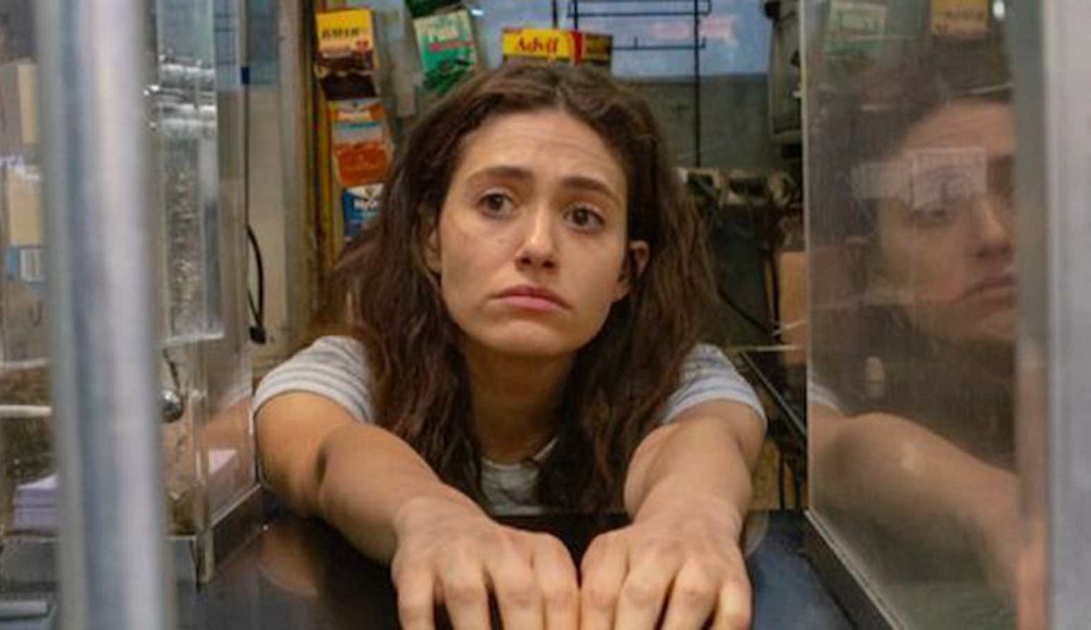Which Shameless Character Are You? Quiz – RFIFJT