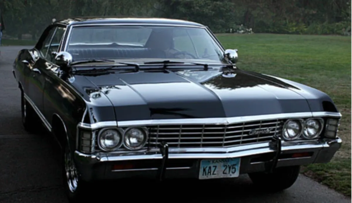 What kind of cars are you into? Quiz Expo