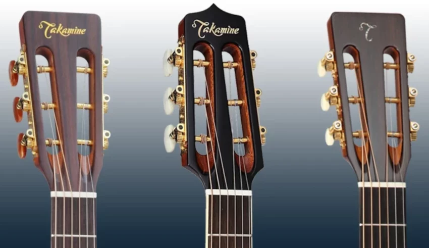 What part of the guitar is shown here?